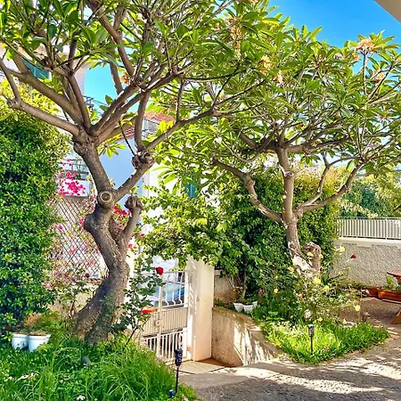 Séjour chez l'habitant Sunny Double In 4br With Ac, Sea View Balcony, Workspace